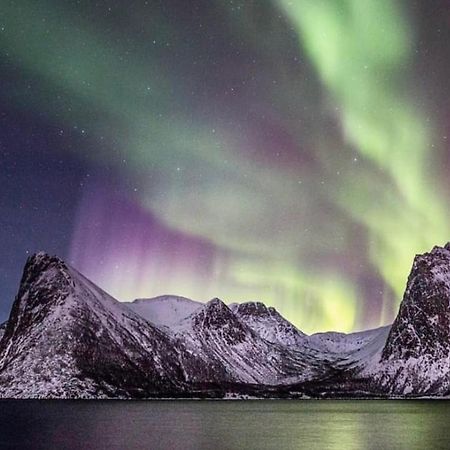 Aparthotel Senja Living Stonglandseidet Exterior foto