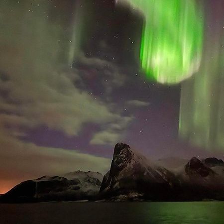 Aparthotel Senja Living Stonglandseidet Exterior foto